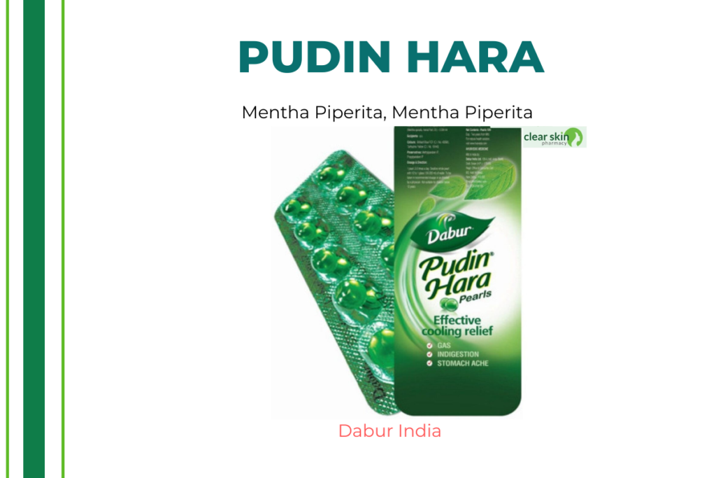 Pudin Hara